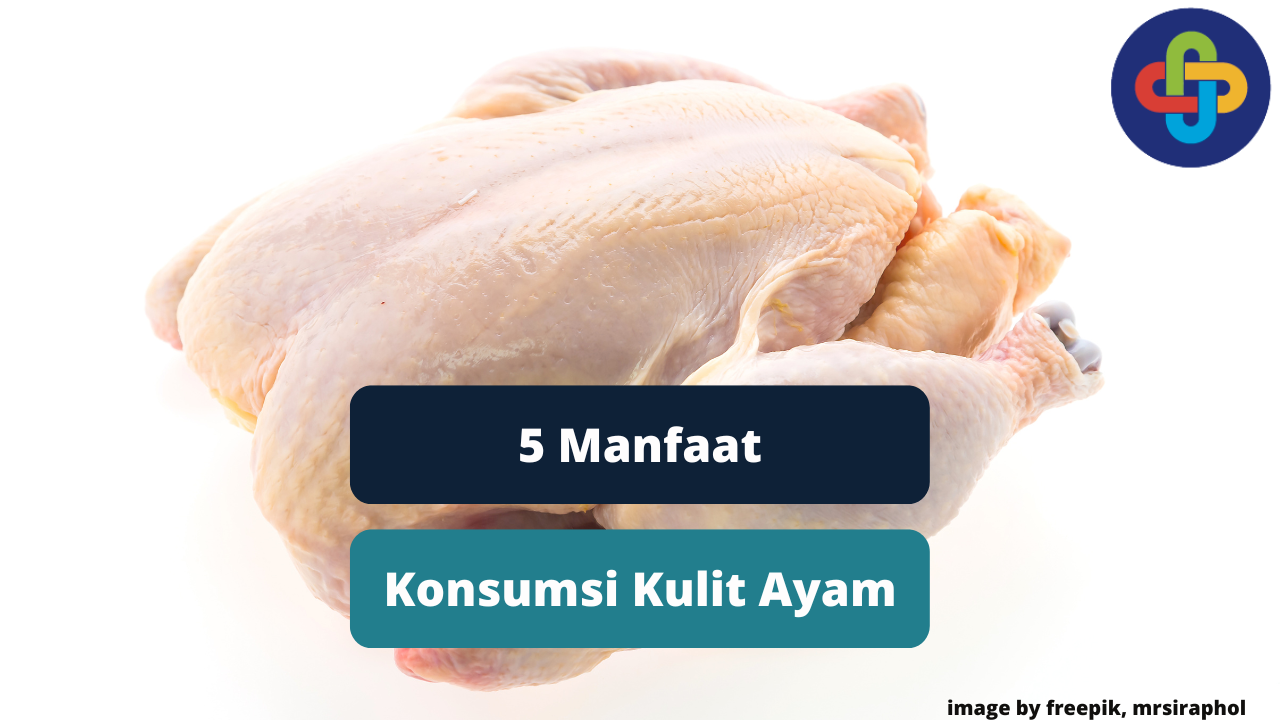 Berikut Inilah 5 Manfaat Konsumsi Kulit Ayam